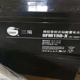 三瑞电池